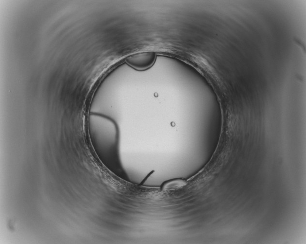 X0000100871268200807071054