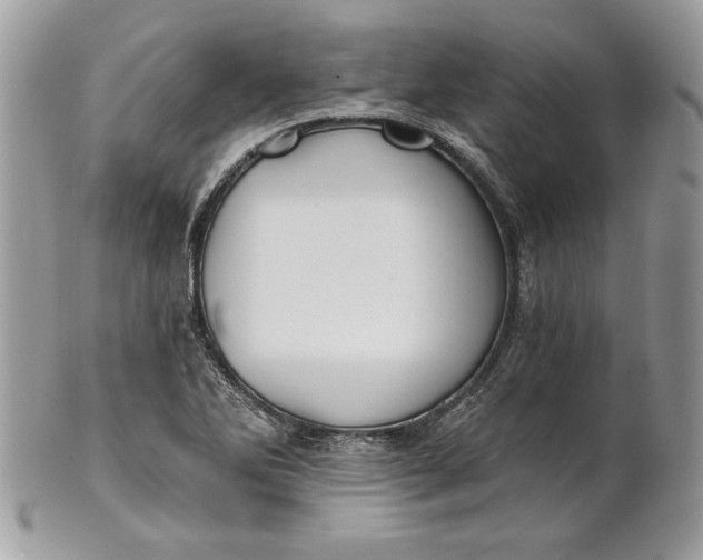 X0000100871270200807071053