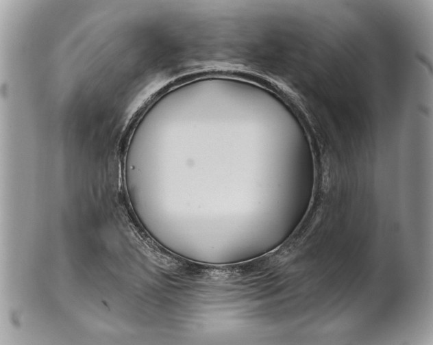 X0000100871271200807071053