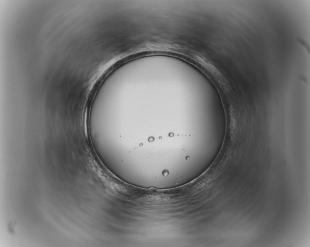 X0000100871272200807071053