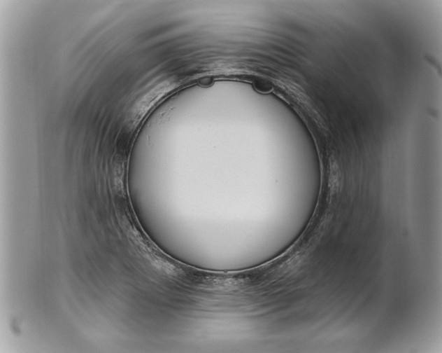 X0000100871273200807071053