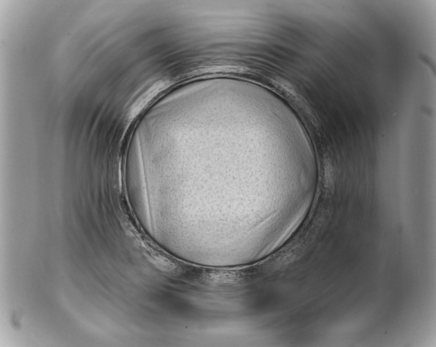 X0000100871274200807071053