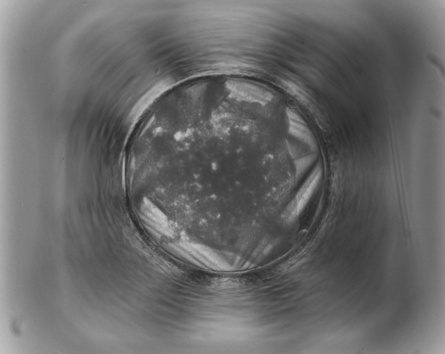 X0000100871275200807071053