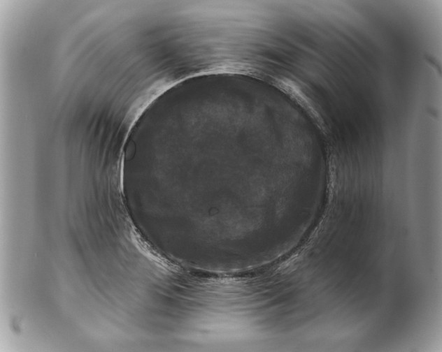 X0000100871276200807071053