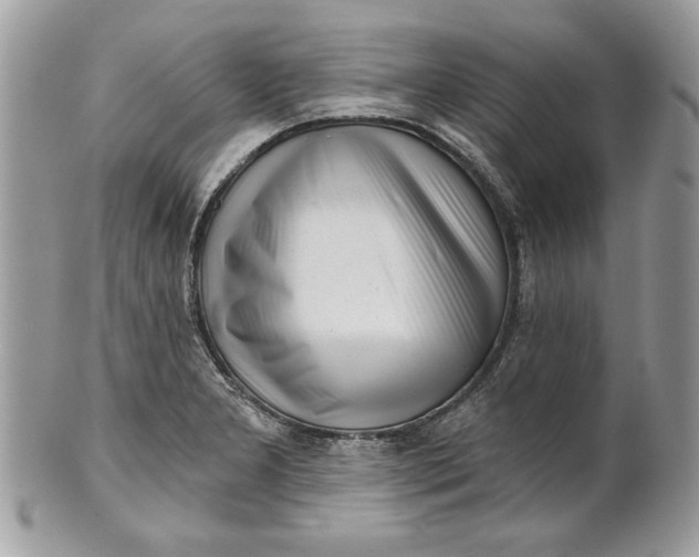 X0000100871277200807071053