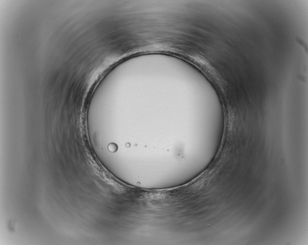 X0000100871278200807071053