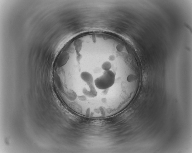 X0000100871279200807071053