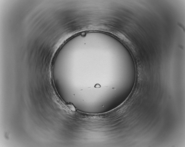 X0000100871280200807071053