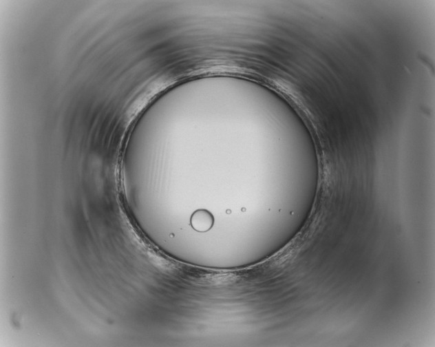 X0000100871282200807071053