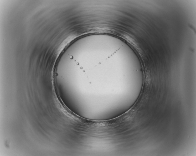 X0000100871283200807071053