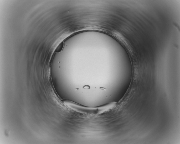 X0000100871284200807071053