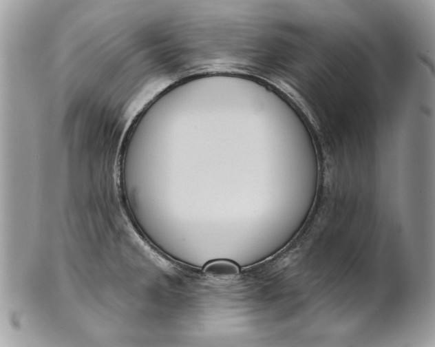 X0000100871285200807071053