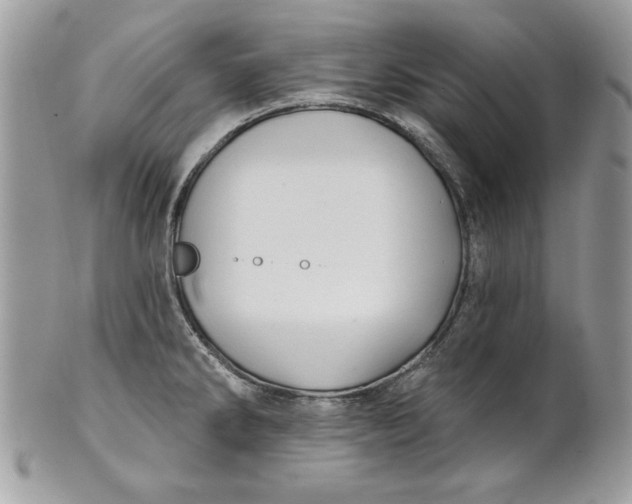 X0000100871286200807071053