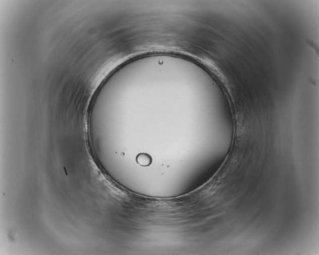 X0000100871287200807071053