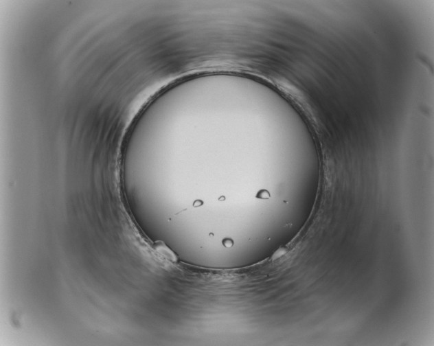 X0000100871288200807071053