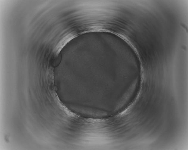 X0000100871289200807071053