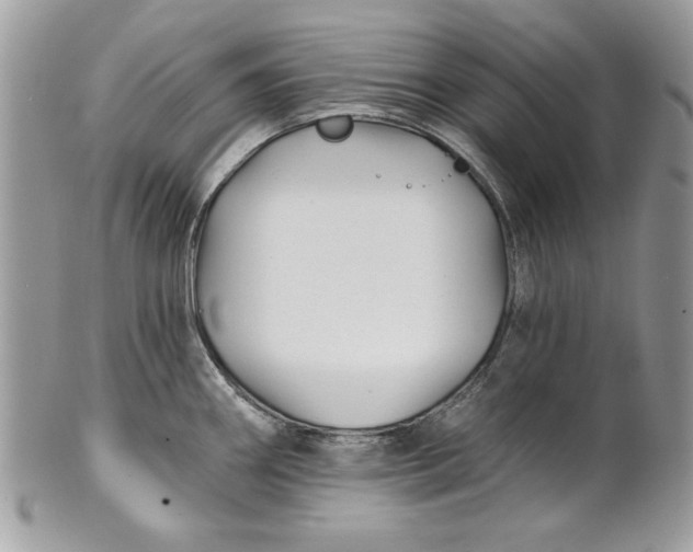 X0000100871290200807071053