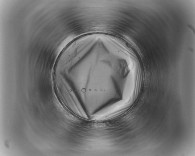 X0000100871291200807071053