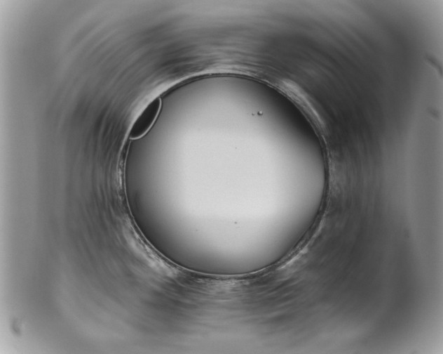 X0000100871292200807071053