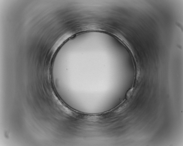 X0000100871293200807071053