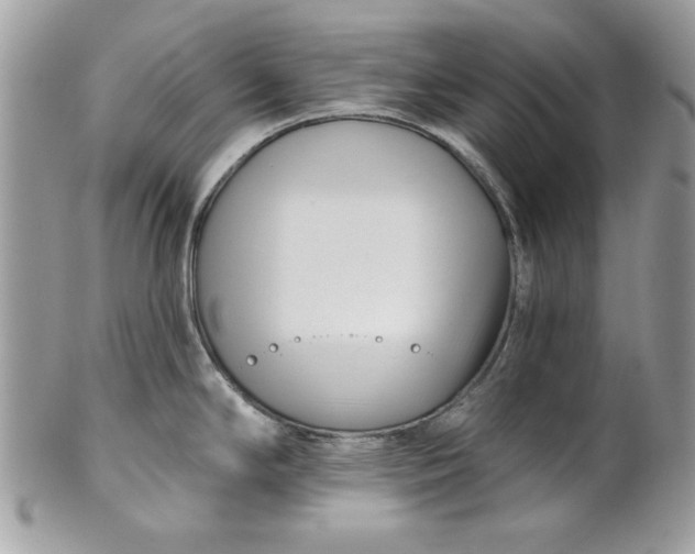 X0000100871294200807071053