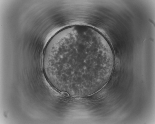 X0000100871295200807071053