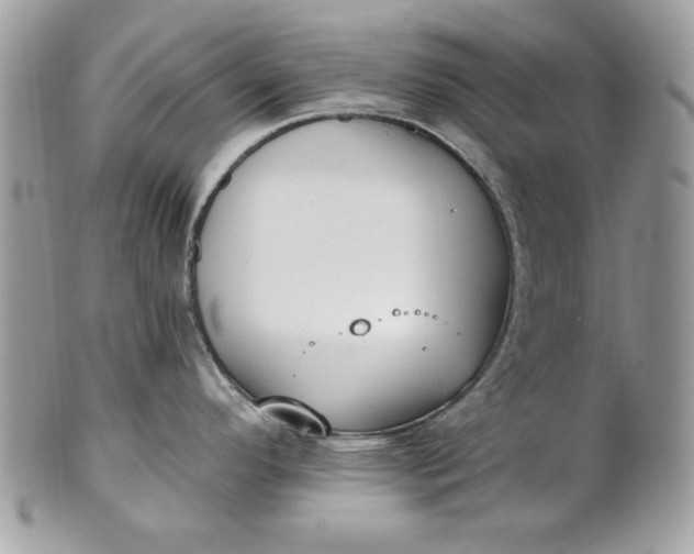 X0000100871296200807071053