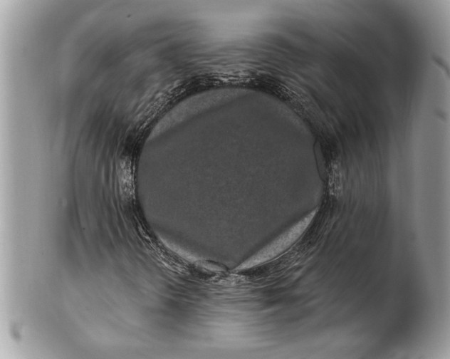 X0000100871298200807071052