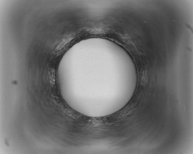 X0000100871301200807071052