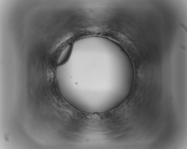 X0000100871302200807071052