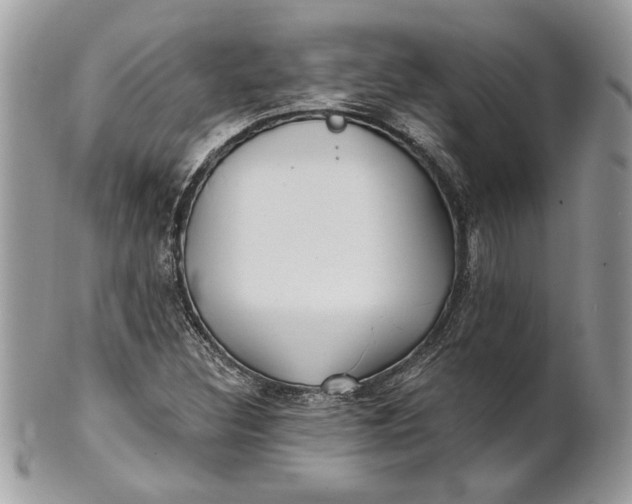 X0000100871308200807071053