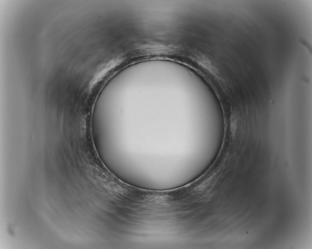 X0000100871309200807071053