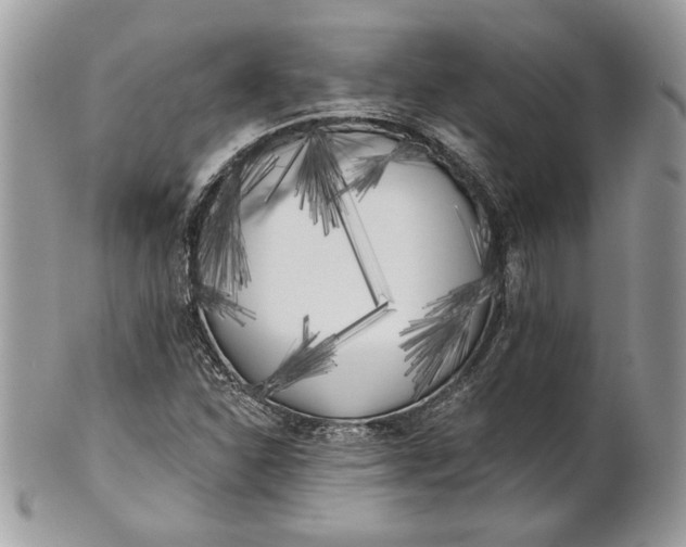 X0000100871310200807071053