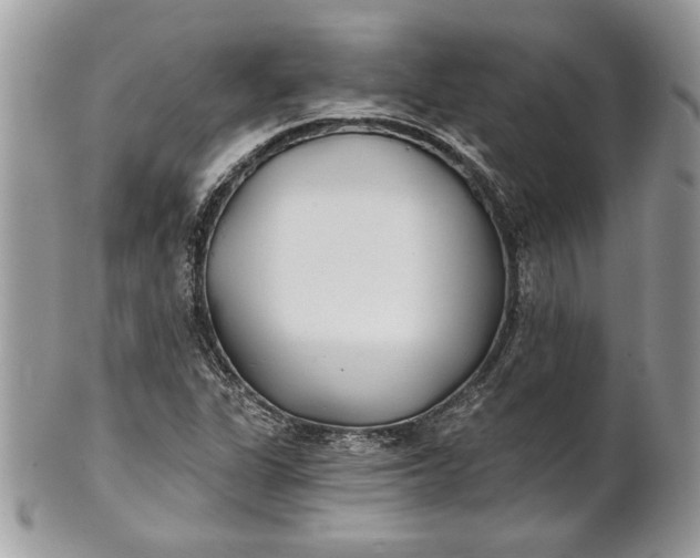 X0000100871311200807071053