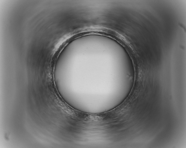 X0000100871312200807071053