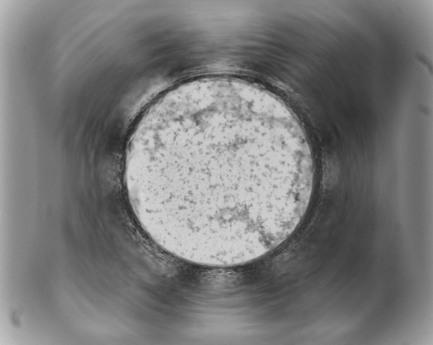 X0000100871314200807071053