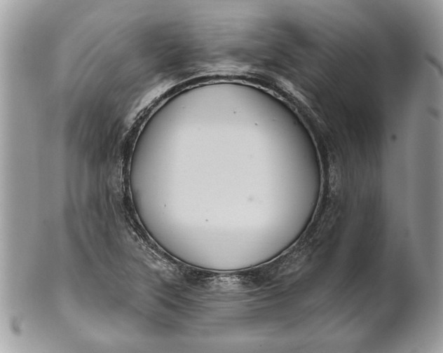 X0000100871315200807071053