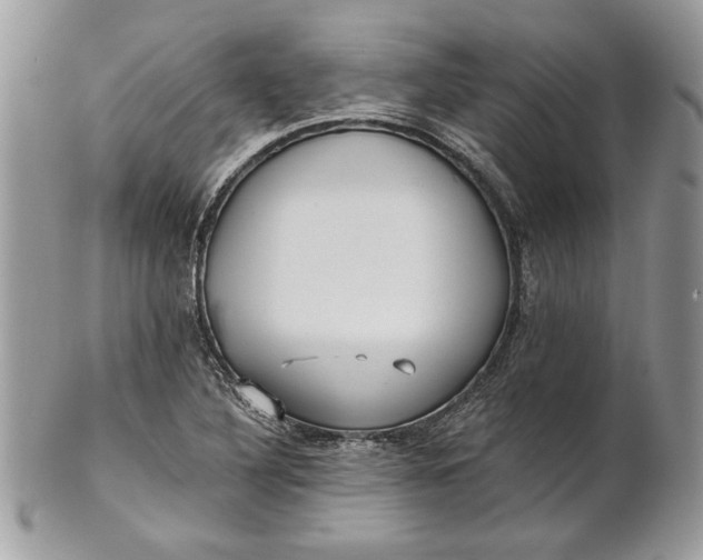 X0000100871316200807071053