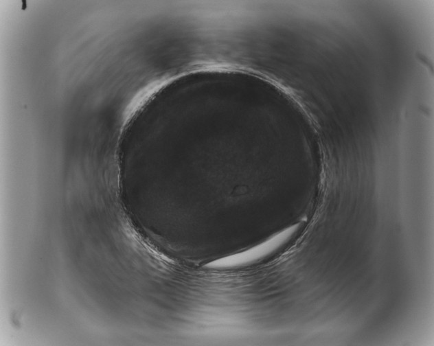 X0000100871319200807071053