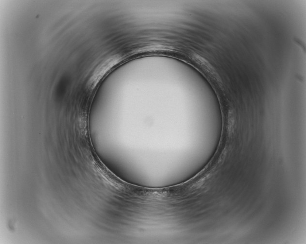 X0000100871321200807071053