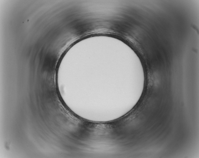 X0000100871322200807071053