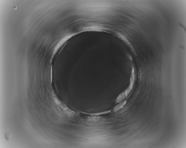 X0000100871323200807071053