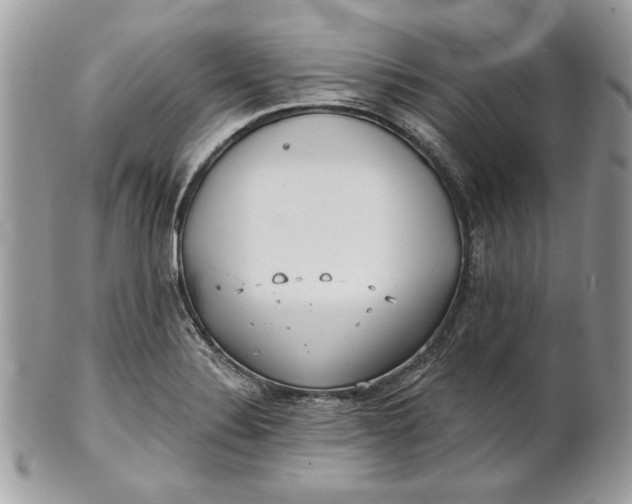 X0000100871324200807071053