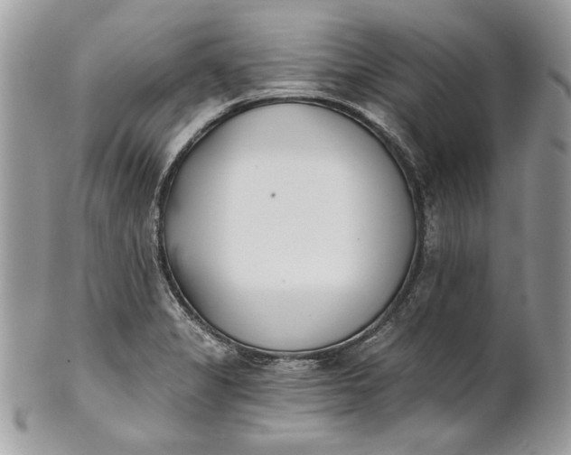 X0000100871325200807071053