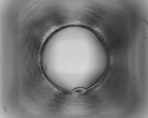 X0000100871326200807071053