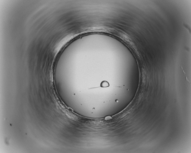 X0000100871328200807071053