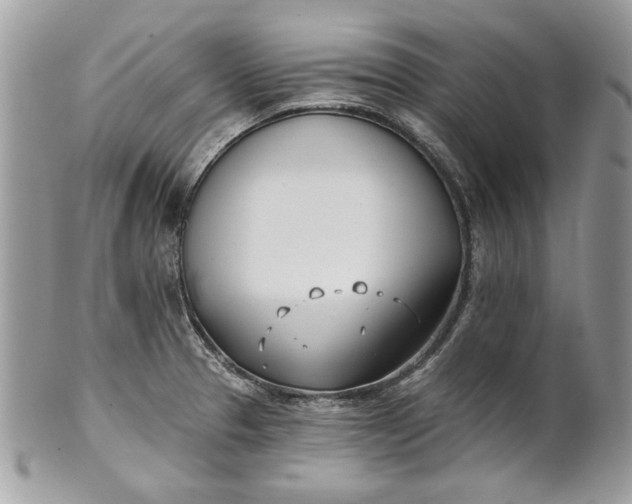 X0000100871329200807071053