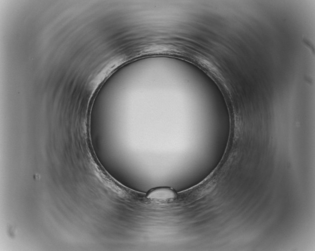 X0000100871330200807071053