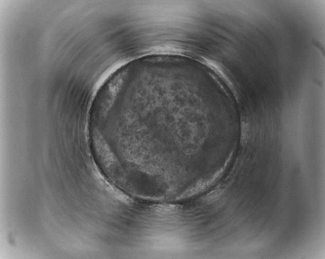 X0000100871331200807071053