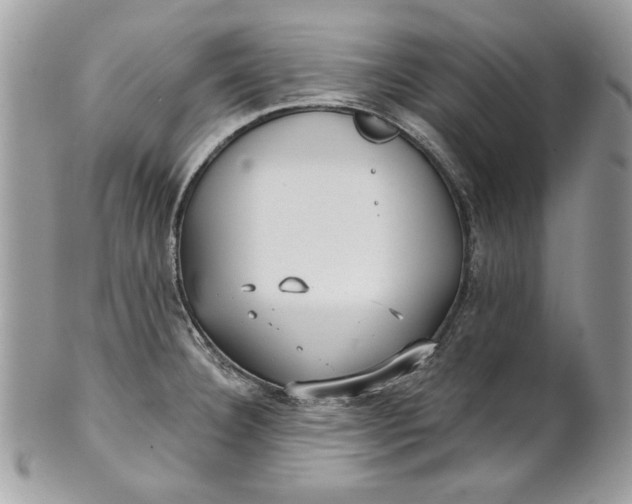 X0000100871332200807071053